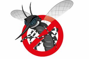 Dengue o que é e como evita-la?